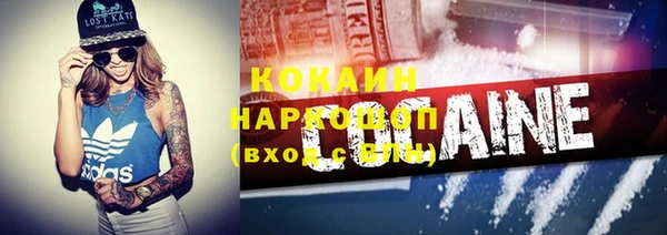 гидра Алексин