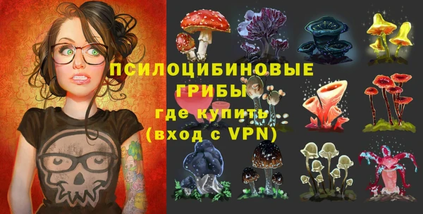 гидра Алексин