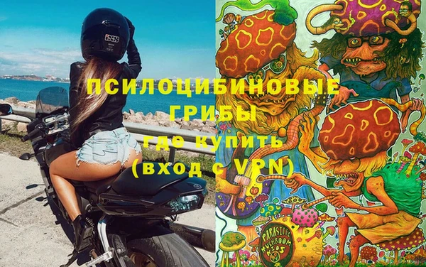 стафф Вязьма