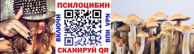 купить закладку  Кизел  Псилоцибиновые грибы Psilocybine cubensis 